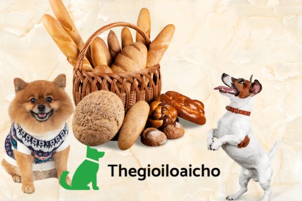 Chó ăn bánh mì chưa nướng chứa nấm lên men sẽ rất nguy hiểm