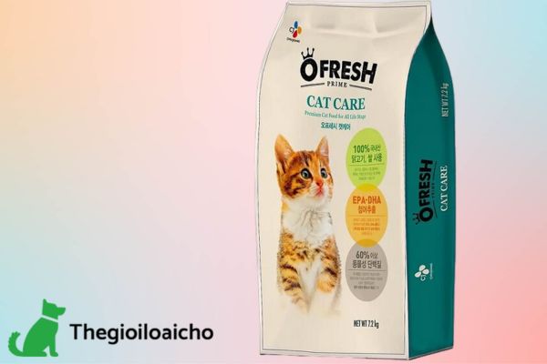 Thức ăn hạt O'fresh Cat Care cung cấp dinh dưỡng cân bằng cho mèo