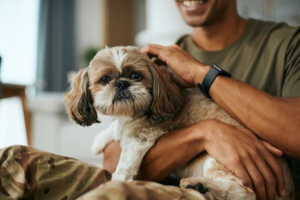 cận cảnh người lính ôm ấp con chó của mình khi thư giãn tại nhà