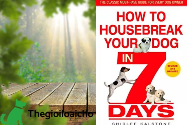 thì Cách Dọn dẹp nhà cửa cho chú chó của bạn trong 7 ngày